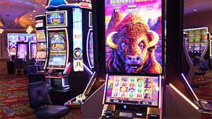 7bet cassino
